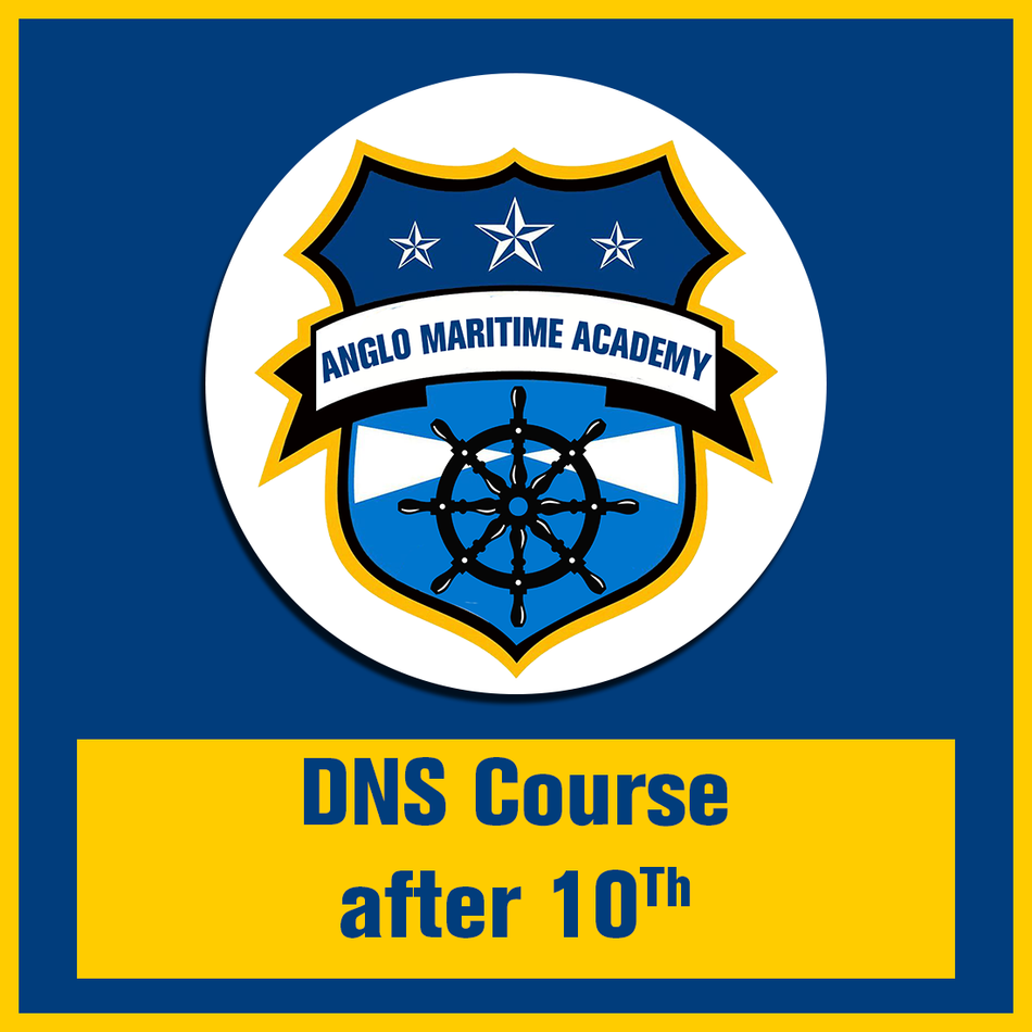 DNS Course after 10th