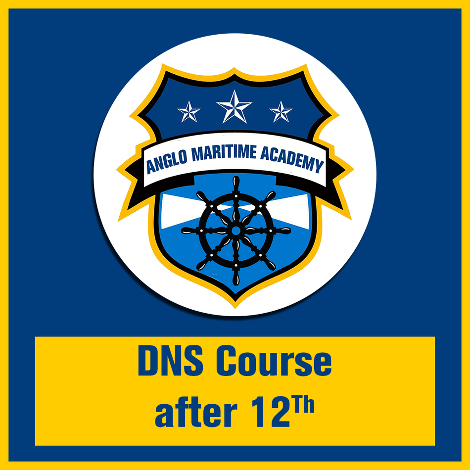 DNS Course after 12th